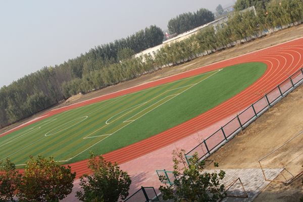 灤南縣胡各莊初級(jí)中學(xué)塑膠操場(chǎng)