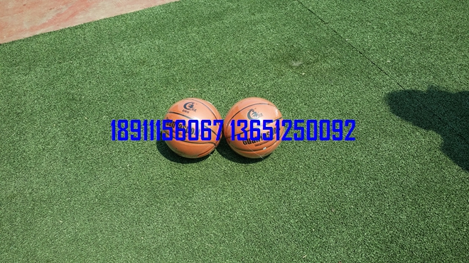 籃球，小籃球，少年籃球