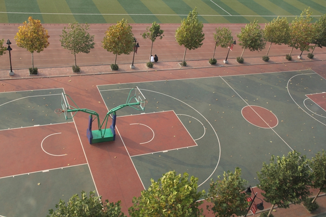 GYTY-A010海燕式移動(dòng)籃球架