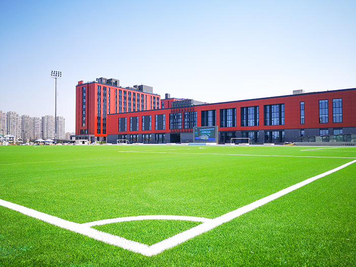 校園足球場人造草坪運(yùn)動系統(tǒng)--單絲-曲絲--免填充自由選擇-搭配墊層和TPE顆粒(圖文) 校園足球場人造草坪運(yùn)動系統(tǒng)--單絲-曲絲--免填充自由選擇-搭配墊層和TPE顆粒(圖文)