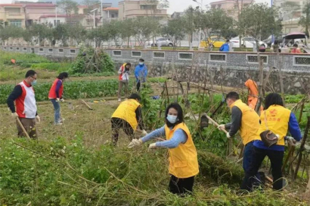 南區(qū)街道：親子家庭開(kāi)展志愿服務(wù)，感受傳統(tǒng)農(nóng)耕文化魅力