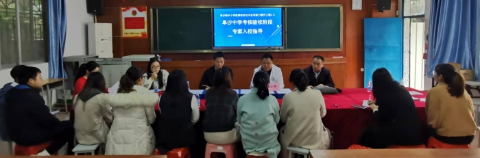 專家解惑，校本研修