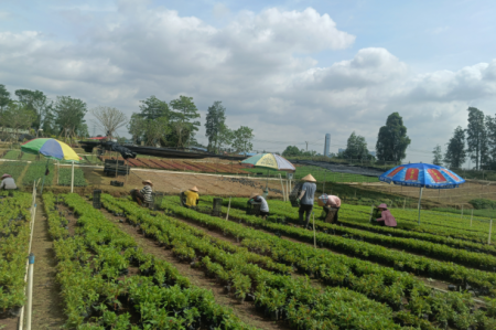 這項數(shù)據(jù)，橫欄排名全市第一！