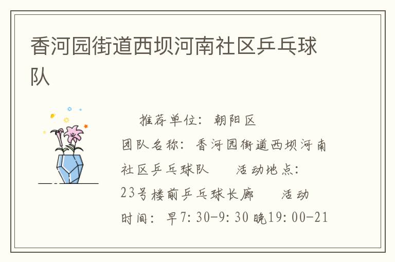 香河園街道西壩河南社區(qū)乒乓球隊(duì)