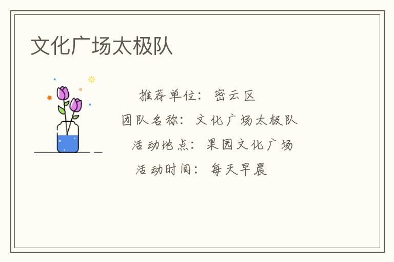 文化廣場太極隊