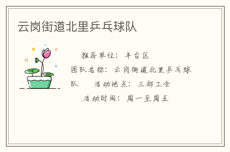 云崗街道北里乒乓球隊