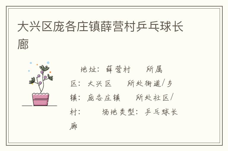 大興區(qū)龐各莊鎮(zhèn)薛營(yíng)村乒乓球長(zhǎng)廊