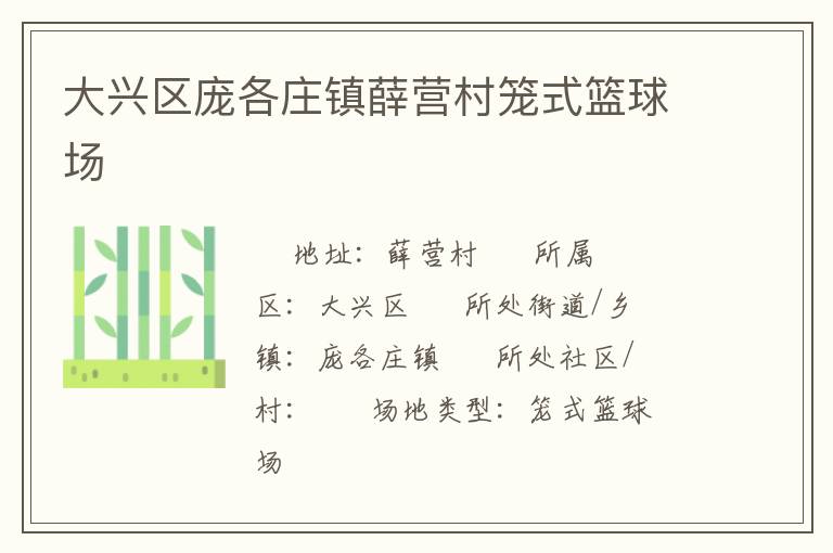 大興區(qū)龐各莊鎮(zhèn)薛營(yíng)村籠式籃球場(chǎng)