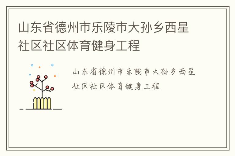 山東省德州市樂陵市大孫鄉(xiāng)西星社區(qū)社區(qū)體育健身工程