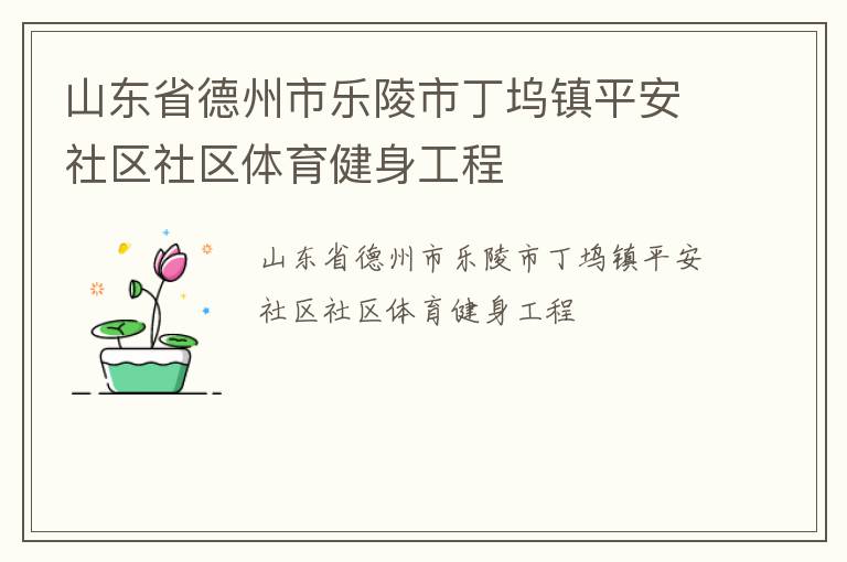 山東省德州市樂(lè)陵市丁塢鎮(zhèn)平安社區(qū)社區(qū)體育健身工程