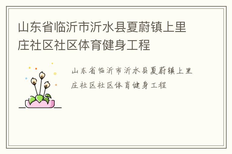 山東省臨沂市沂水縣夏蔚鎮(zhèn)上里莊社區(qū)社區(qū)體育健身工程