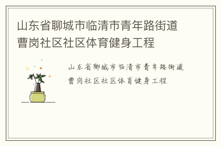 山東省聊城市臨清市青年路街道曹崗社區(qū)社區(qū)體育健身工程