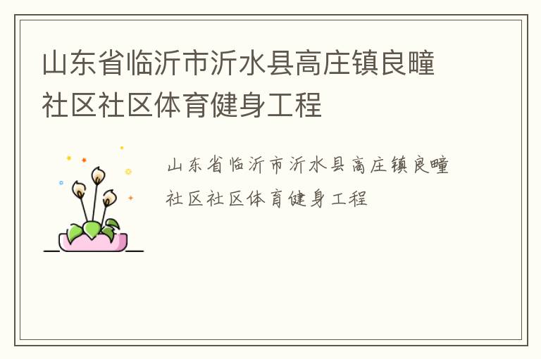 山東省臨沂市沂水縣高莊鎮(zhèn)良疃社區(qū)社區(qū)體育健身工程