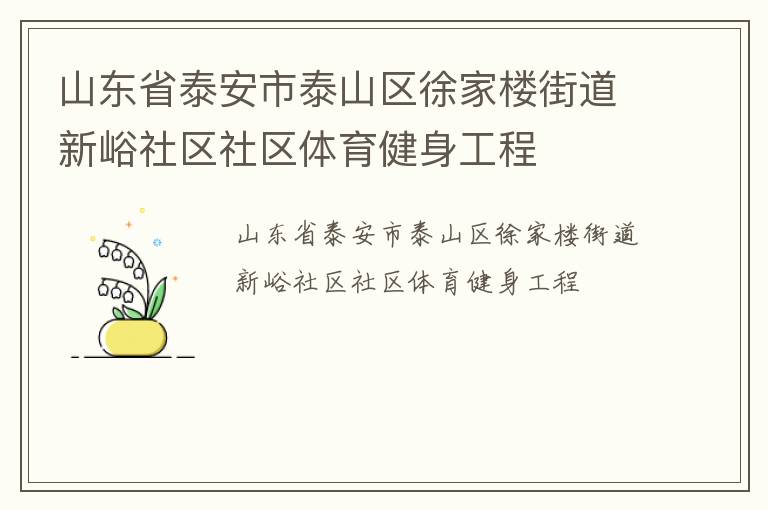 山東省泰安市泰山區(qū)徐家樓街道新峪社區(qū)社區(qū)體育健身工程