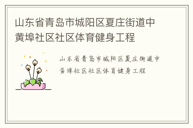 山東省青島市城陽區(qū)夏莊街道中黃埠社區(qū)社區(qū)體育健身工程