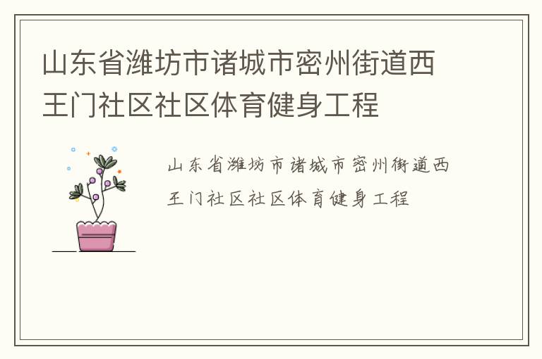 山東省濰坊市諸城市密州街道西王門社區(qū)社區(qū)體育健身工程