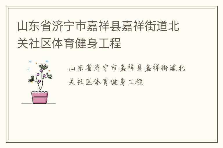 山東省濟寧市嘉祥縣嘉祥街道北關社區(qū)體育健身工程