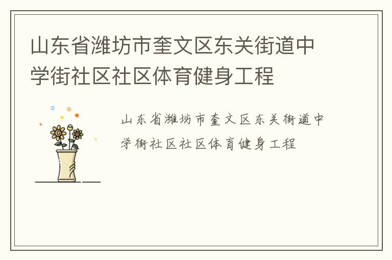 山東省濰坊市奎文區(qū)東關(guān)街道中學(xué)街社區(qū)社區(qū)體育健身工程