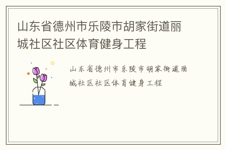 山東省德州市樂陵市胡家街道麗城社區(qū)社區(qū)體育健身工程