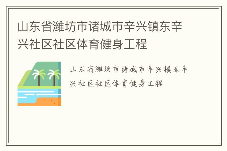 山東省濰坊市諸城市辛興鎮(zhèn)東辛興社區(qū)社區(qū)體育健身工程