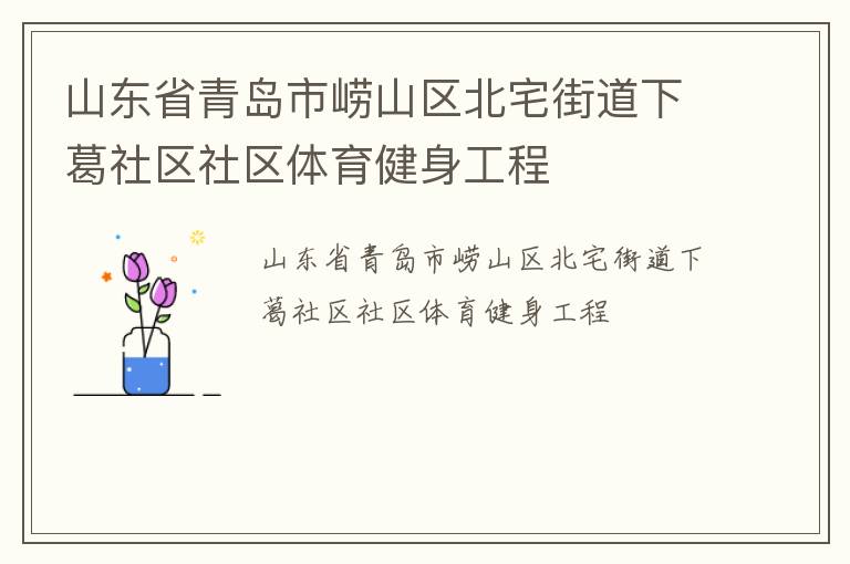 山東省青島市嶗山區(qū)北宅街道下葛社區(qū)社區(qū)體育健身工程