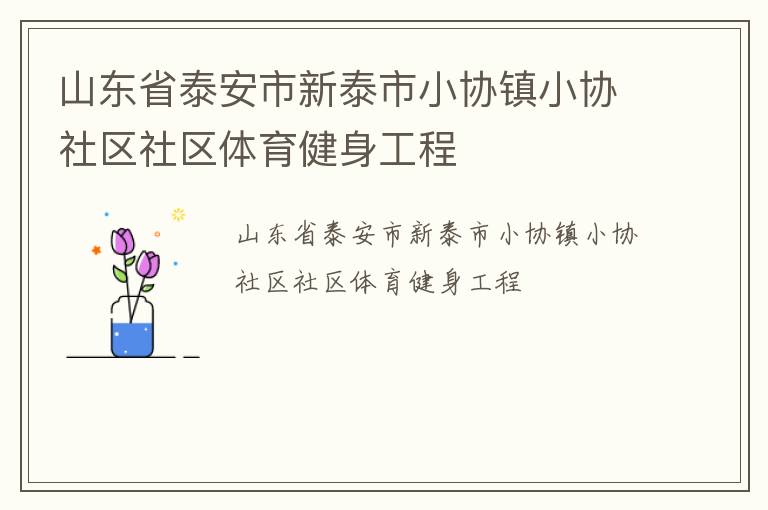 山東省泰安市新泰市小協(xié)鎮(zhèn)小協(xié)社區(qū)社區(qū)體育健身工程