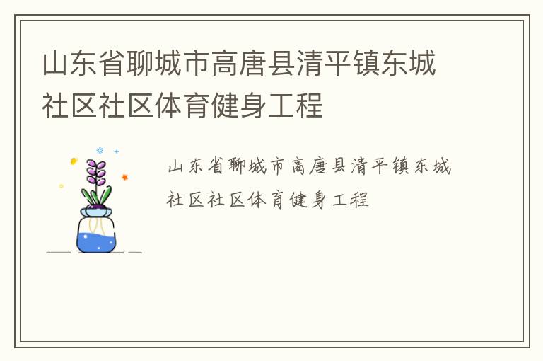 山東省聊城市高唐縣清平鎮(zhèn)東城社區(qū)社區(qū)體育健身工程