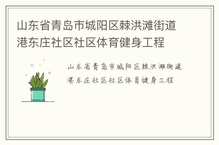 山東省青島市城陽區(qū)棘洪灘街道港東莊社區(qū)社區(qū)體育健身工程
