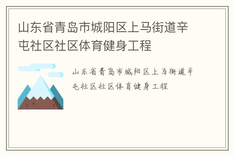 山東省青島市城陽(yáng)區(qū)上馬街道辛屯社區(qū)社區(qū)體育健身工程