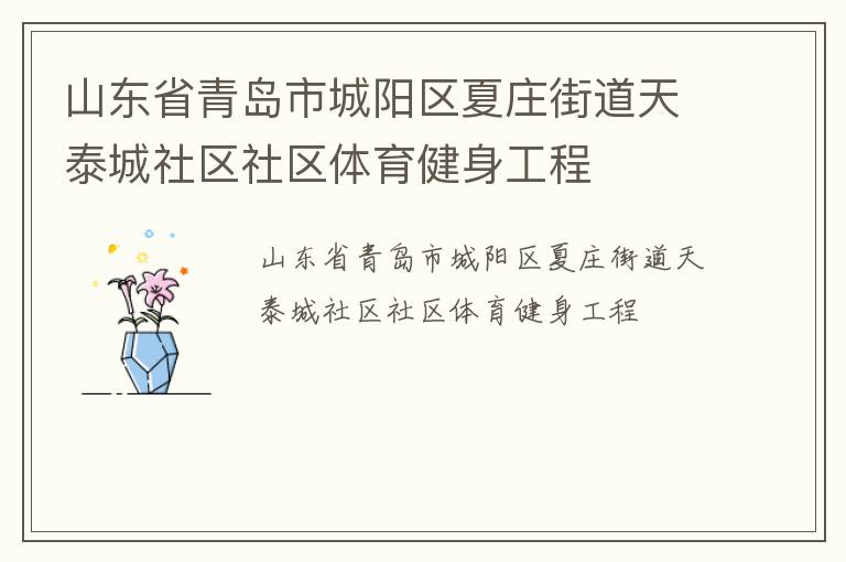 山東省青島市城陽(yáng)區(qū)夏莊街道天泰城社區(qū)社區(qū)體育健身工程