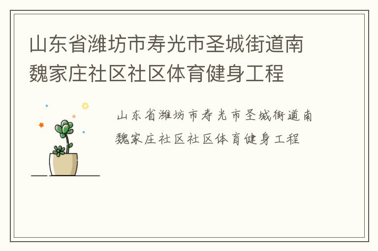 山東省濰坊市壽光市圣城街道南魏家莊社區(qū)社區(qū)體育健身工程