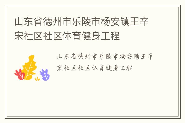 山東省德州市樂陵市楊安鎮(zhèn)王辛宋社區(qū)社區(qū)體育健身工程