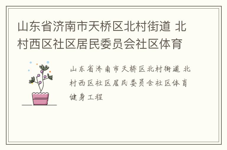 山東省濟南市天橋區(qū)北村街道 北村西區(qū)社區(qū)居民委員會社區(qū)體育健身工程