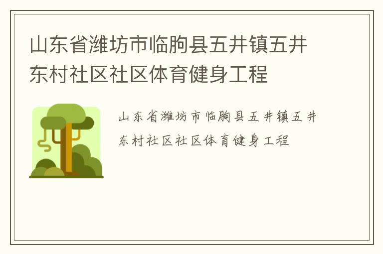 山東省濰坊市臨朐縣五井鎮(zhèn)五井東村社區(qū)社區(qū)體育健身工程