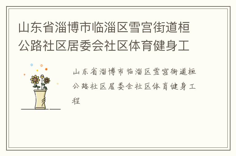 山東省淄博市臨淄區(qū)雪宮街道桓公路社區(qū)居委會(huì)社區(qū)體育健身工程