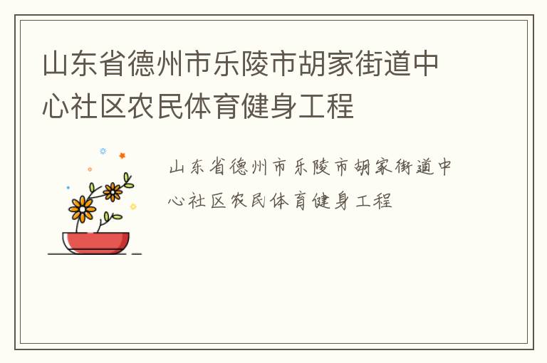 山東省德州市樂陵市胡家街道中心社區(qū)農民體育健身工程