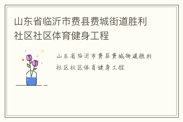 山東省臨沂市費(fèi)縣費(fèi)城街道勝利社區(qū)社區(qū)體育健身工程