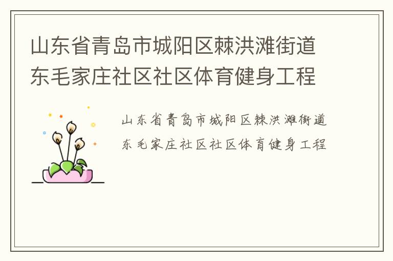 山東省青島市城陽區(qū)棘洪灘街道東毛家莊社區(qū)社區(qū)體育健身工程