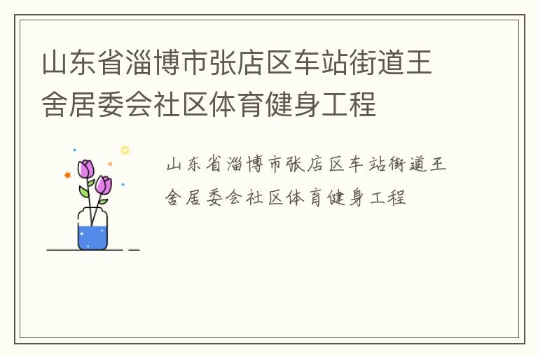 山東省淄博市張店區(qū)車站街道王舍居委會社區(qū)體育健身工程