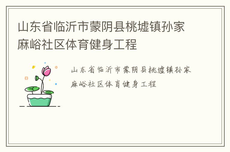 山東省臨沂市蒙陰縣桃墟鎮(zhèn)孫家麻峪社區(qū)體育健身工程