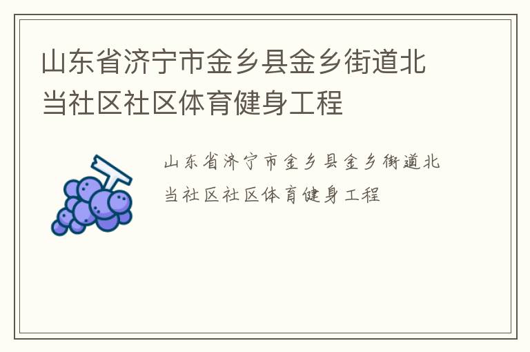 山東省濟寧市金鄉(xiāng)縣金鄉(xiāng)街道北當(dāng)社區(qū)社區(qū)體育健身工程