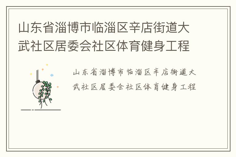山東省淄博市臨淄區(qū)辛店街道大武社區(qū)居委會(huì)社區(qū)體育健身工程