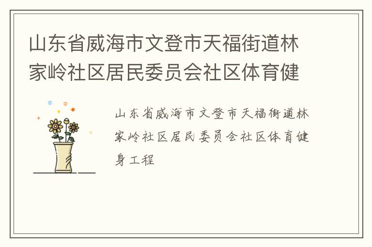 山東省威海市文登市天福街道林家?guī)X社區(qū)居民委員會社區(qū)體育健身工程