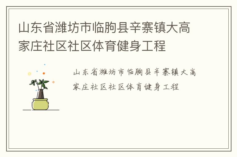 山東省濰坊市臨朐縣辛寨鎮(zhèn)大高家莊社區(qū)社區(qū)體育健身工程