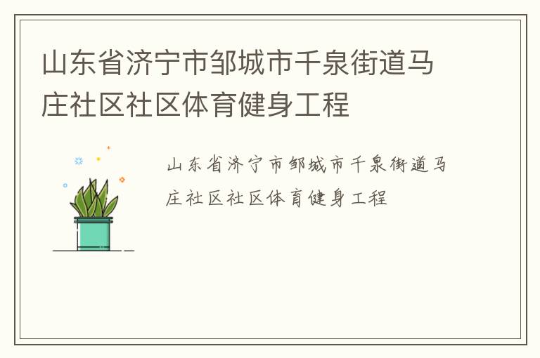 山東省濟寧市鄒城市千泉街道馬莊社區(qū)社區(qū)體育健身工程