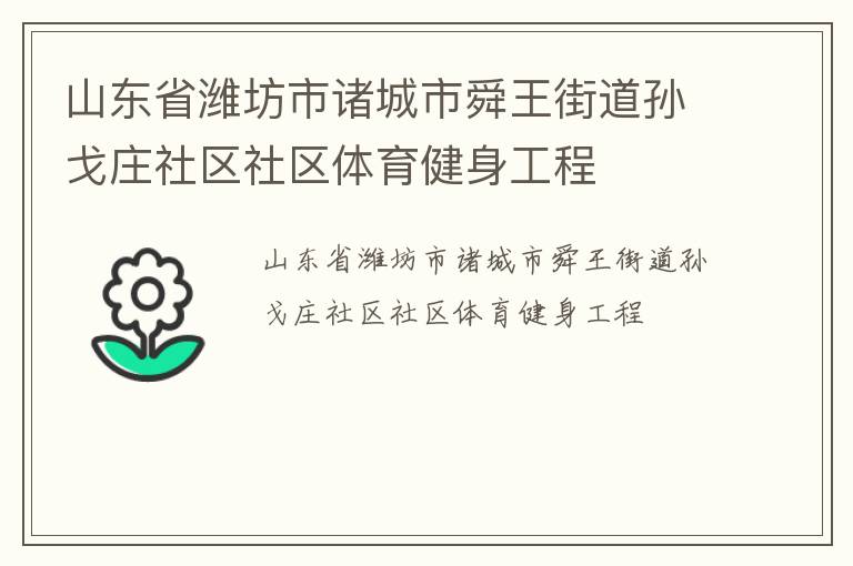 山東省濰坊市諸城市舜王街道孫戈莊社區(qū)社區(qū)體育健身工程