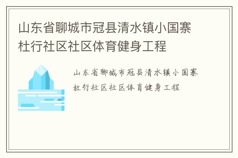 山東省聊城市冠縣清水鎮(zhèn)小國寨杜行社區(qū)社區(qū)體育健身工程