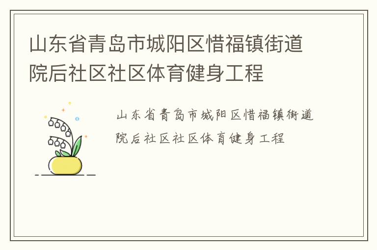 山東省青島市城陽(yáng)區(qū)惜福鎮(zhèn)街道院后社區(qū)社區(qū)體育健身工程