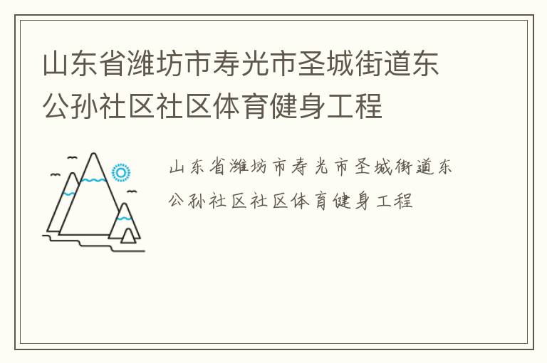 山東省濰坊市壽光市圣城街道東公孫社區(qū)社區(qū)體育健身工程