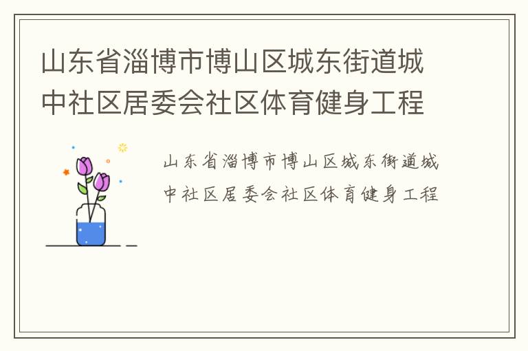 山東省淄博市博山區(qū)城東街道城中社區(qū)居委會社區(qū)體育健身工程